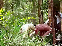 Blonde Minx Getting Fucked In The Woods - Ashlee Chambers And Ash Lee