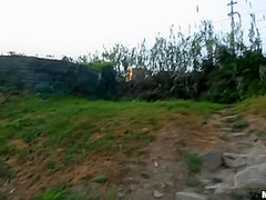 Alyssa Reece - Skinny Teen Fucks Outdoors To Earn Money