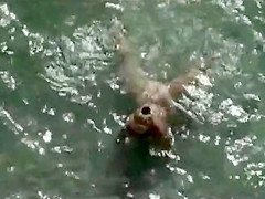 Dainty girl in beach cabin