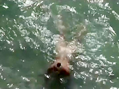 Dainty girl in beach cabin