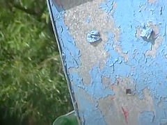 Nudist women on the beach