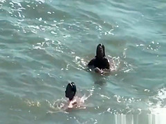 Nudist women in the water