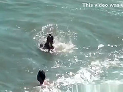 Nudist women in the water