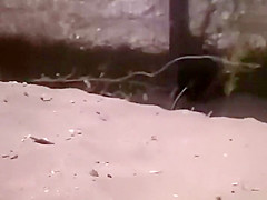 Two girls lying down on a beach