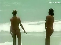 Topless Beach Cuties