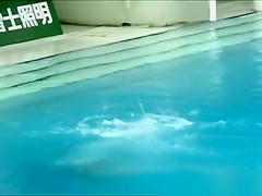 A lovely chinese diver