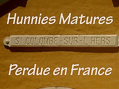 Lesbian Grannies Hot Poolside Sex Video