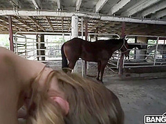 Kristy May - Rides A Stallion