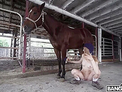 Kristy May - Rides A Stallion