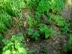 Angelica - Extreme Sex In A Quiet Park