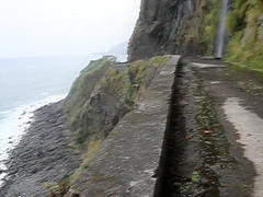Sharing Her Holiday Souvenirs