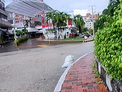 Katrina Black Colombiana With Big Honkers - Latina Porn