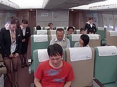 Japanese Stewarterss