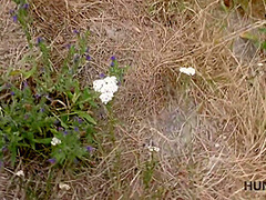 Evelyn Neill In Crazy Porn Movie Cumshot Great Full Version