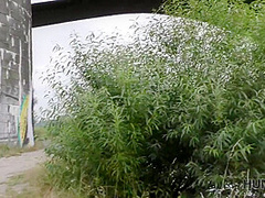 Evelyn Neill In Crazy Porn Movie Cumshot Great Full Version