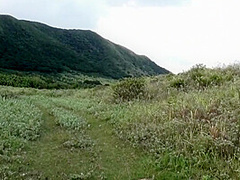 Fabulous Porn Clip Wild Youve Seen