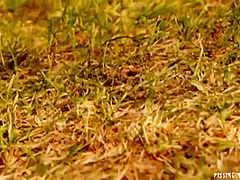 Jenna Lovely, Victoria Puppy And Mea Melone In Forever Pissing 34