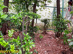 Nuggets of PeePee Goodness