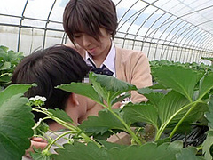 504tnnn-003 Jav Full Movie