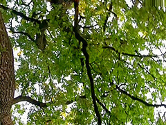Astonishing Xxx Video Solo Incredible , Its Amazing