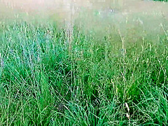 In Nature, A Guy Fucks A Girl With A Big Dick And