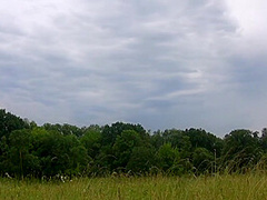 Incredible Sex Movie Blonde Craziest Just For You