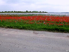 Forever Pissing 73 - Foxies Gold And Antonia Sainz