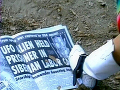 Paper Tiger 3