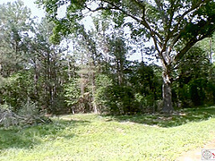 Amazing Porn Scene Unbelievable Just For You