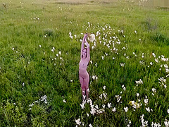 Amazing Xxx Video Solo Wild Full Version