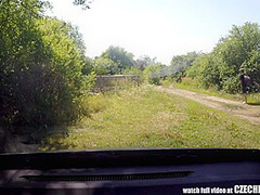 Mirek Takes Mature Busty Whore On Public