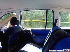 Mirek Takes Mature Busty Whore On Public