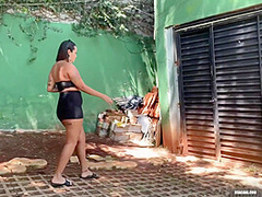 Cock Under The Sun