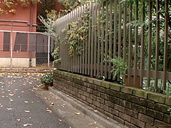 Amazing Porn Clip Best Watch Show