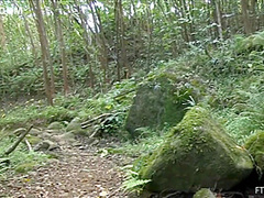 Amazing Adult Video Hot , Watch It