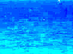 Public euro walks and crawls outdoors in front of strangers