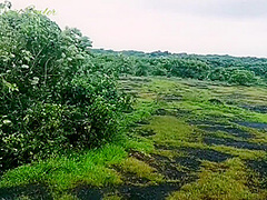 Milf Jerking Your Big Cock With Deep Eye Contact Outdoor - Angel Dani Fowler