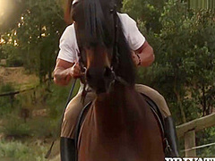 Yasmin Scott - Horse Rider Rides A Hung Stallion