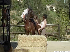 Yasmin Scott - Horse Rider Rides A Hung Stallion