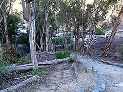 Sucks Loppy Balls Outdoor With Charity Crawford