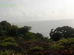 Blonde Women In Beautiful Tight Ass Fingering Pussy Outdoor Near Ocean