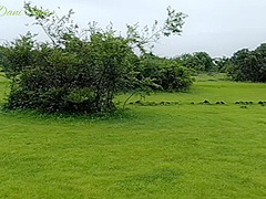 Public Walk With Real Amateur Slut Milf