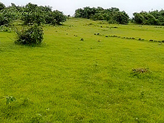 Public Walk With Real Amateur Slut Milf