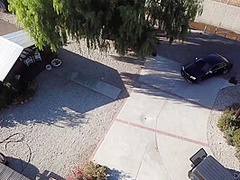 Crazy Adult Movie Crazy Will Enslaves Your Mind