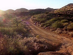 Screwing Outdoors Hard Core Scene With Jodi West