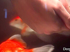 Unlocking A Mess Of Sexual Fantasy