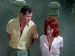 Orgy Of 1965)
