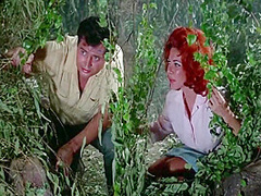 Orgy Of 1965)