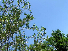 Gorgeous On The Grass - Danielle Maye