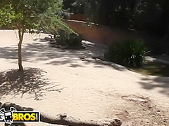 Zoo Trip With - Mia Lelani, Angel Vain And Britney Amber